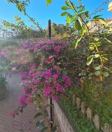 Casa Ma.re 公寓 滨海圣洛伦佐